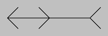 M&uuml;ller-L.. 1kB